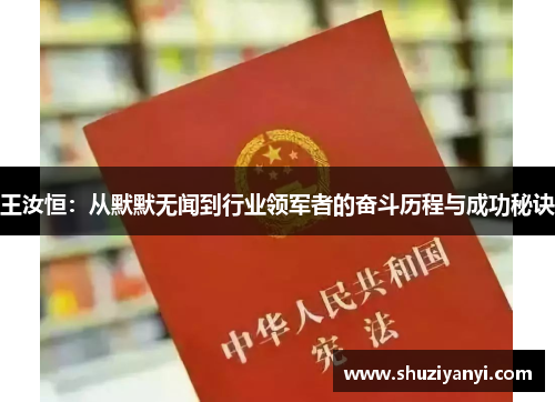 王汝恒：从默默无闻到行业领军者的奋斗历程与成功秘诀