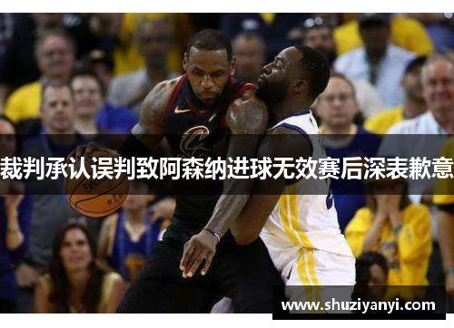 裁判承认误判致阿森纳进球无效赛后深表歉意