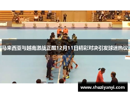 马来西亚与越南激战正酣12月11日精彩对决引发球迷热议